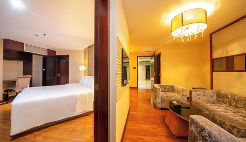 Suite ejecutiva, 1 cama de matrimonio