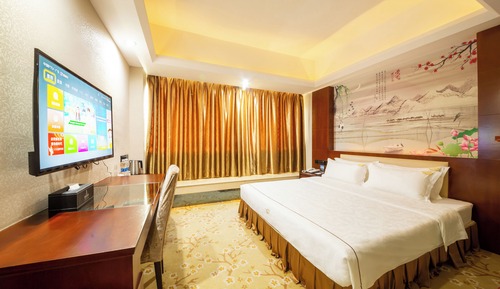 Habitación individual superior