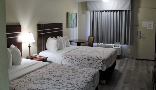 Habitación Confort con 1 cama doble o 2 individuales