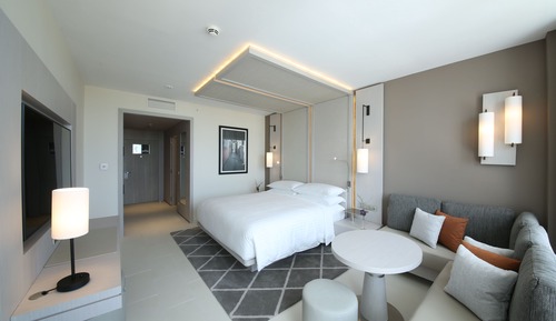 Habitación estándar, 1 cama de matrimonio grande
