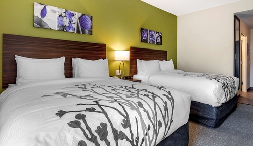 Habitación estándar, 2 camas de matrimonio, no fumadores