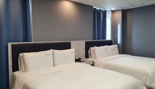 Habitación ejecutiva con 2 camas individuales