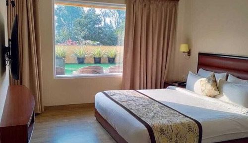 Habitación ejecutiva doble