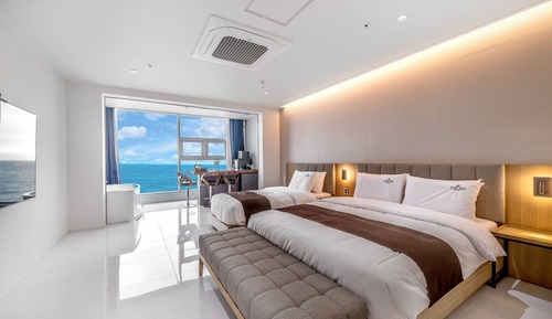 D. Deluxe Twin Spa Room