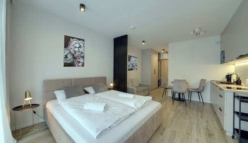 Suite estudio Confort