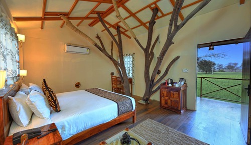 Casa en un árbol