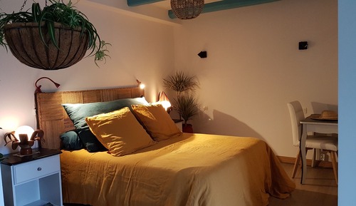Habitación estándar doble (Oasis)