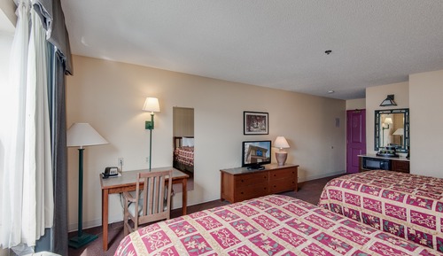 Suite estándar, cocina (1 Queen bed & 2 Double beds)