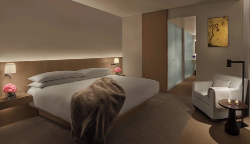 Suite Premier, 1 habitación, vistas a la ciudad