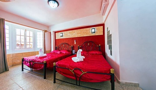 Habitación Confort