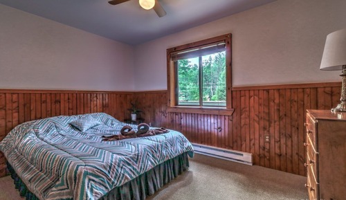 Suite estándar (Tree Top Suite - Pet Friendly)