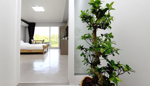 Habitación (Dugashi)
