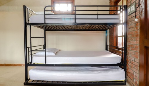 Standard Shared Dormitory