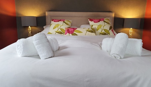 Habitación Confort doble, baño privado (Primrose Room)