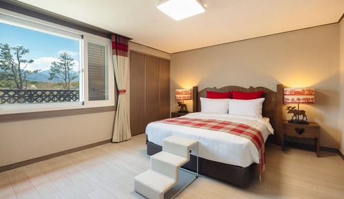 Royal Suite Pet Bern 32PY