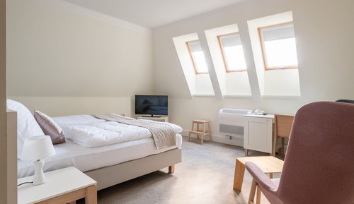 Habitación con 1 cama doble o 2 individuales (#3)
