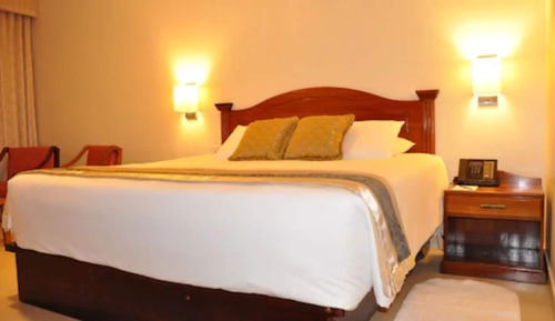 Business Single Room, 1 King Bed