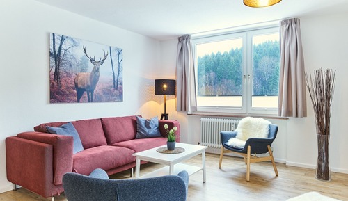 Apartamento Confort, 1 habitación, balcón