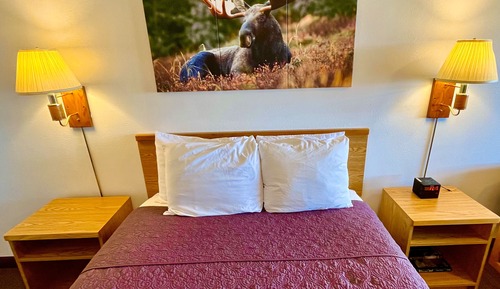 Habitación, 1 cama de matrimonio
