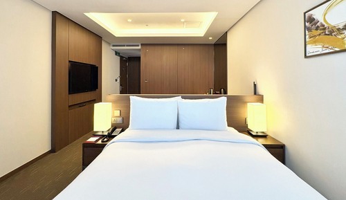Estudio, 1 cama de matrimonio, no fumadores