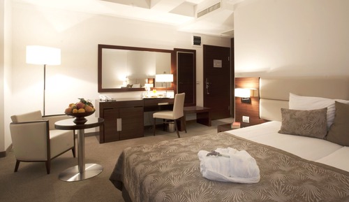Habitación Deluxe con 1 cama doble o 2 individuales