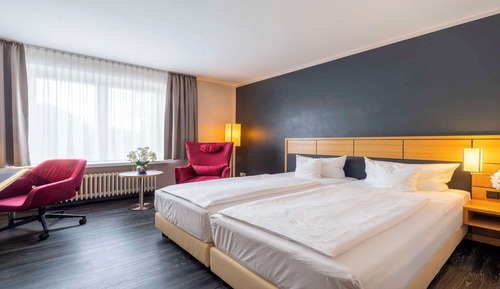 Habitación estándar, 1 cama doble