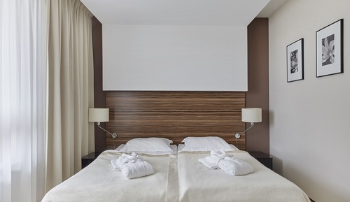 Habitación estándar con 1 cama doble o 2 individuales