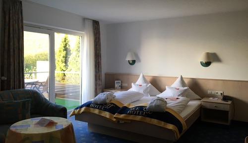 Habitación estándar doble, balcón, vistas parciales al lago