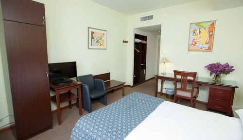Habitación individual estándar, 1 cama de matrimonio