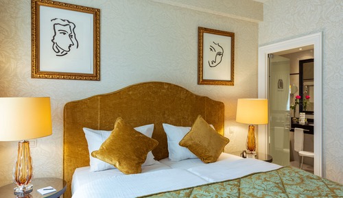Luxury Historic Room