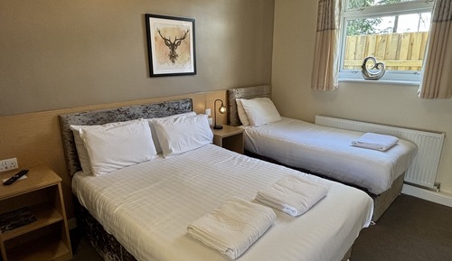 Suite, baño privado (2 Adults & 1 Child)