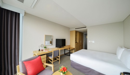 Habitación estándar, 1 cama doble, no fumadores