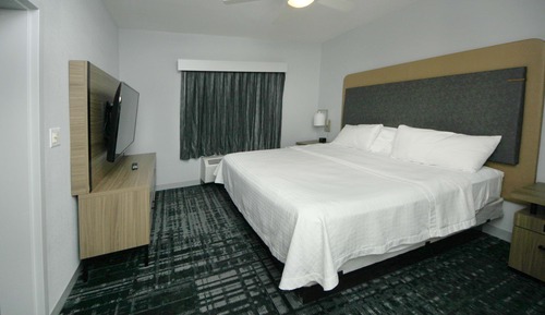 Suite, 1 habitación
