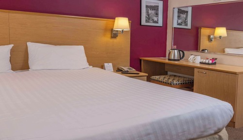 Habitación estándar, 1 cama doble, no fumadores