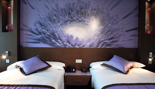 Executive Twin Room