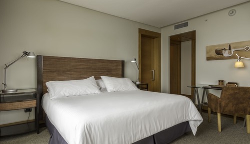 Habitación presidencial, 1 cama de matrimonio grande, no fumadores
