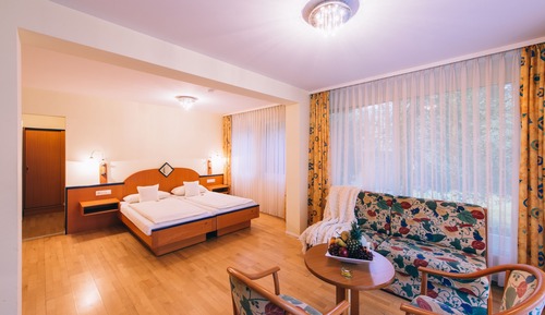 Standard Double Room Single Use