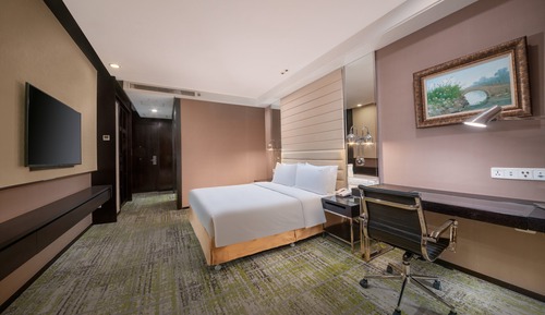 Habitación estándar, 1 cama de matrimonio grande (SOHO View)