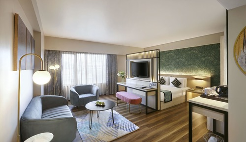 Suite estudio