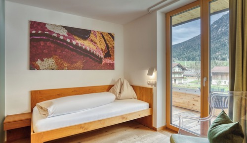Habitación individual, vistas a la montaña