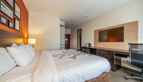 Habitación, 1 cama de matrimonio grande, accesible para personas con discapacidad, no fumadores