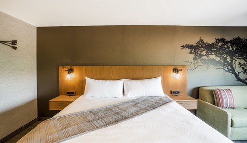 Habitación Elite, 1 cama de matrimonio grande con sofá cama, frigorífico, vistas a la montaña