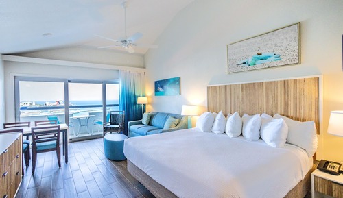 Suite estudio (1 Queen Bed)