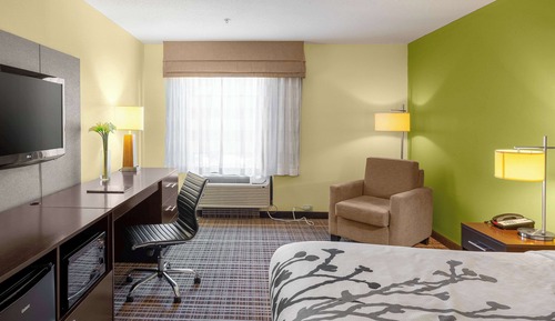 Habitación estándar, 1 cama de matrimonio grande, no fumadores