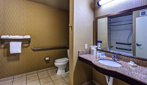 Habitación, 1 cama de matrimonio (Mobility & Hearing, Roll-in Shower)