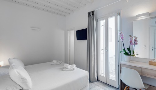 Habitación clásica con 1 cama doble o 2 individuales