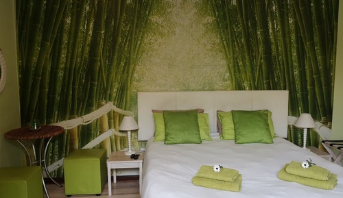 Habitación básica doble (7)