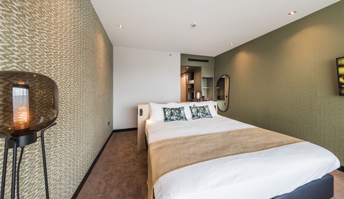 Habitación ejecutiva, 1 cama de matrimonio grande