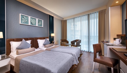 Economy Room with French Balcony