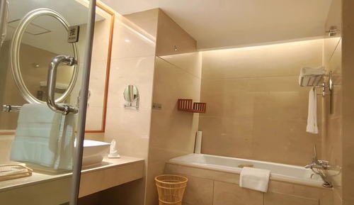Habitación Deluxe, 2 camas individuales, acceso al Business Lounge (Executive)